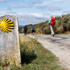 Jakobsweg Tipps für den bekanntesten Pilgerweg der Welt