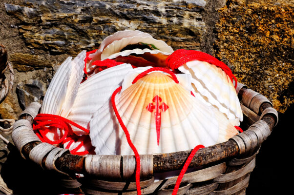 Scallop-Muscheln mit dem Kreuz des Ordens von Santiago Camino de Santiago Jakobsweg Spanien