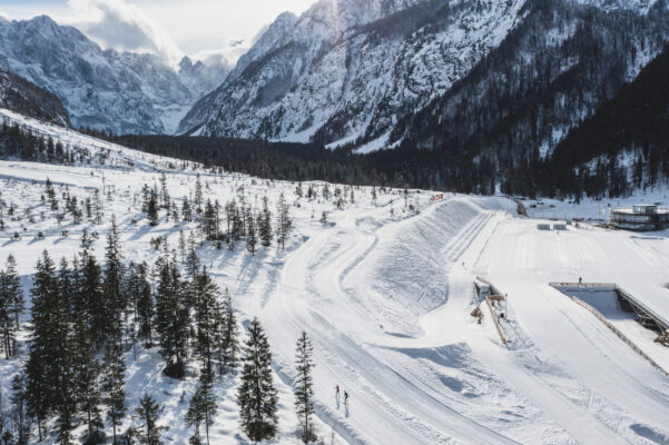 Alpinski und Langlaufski