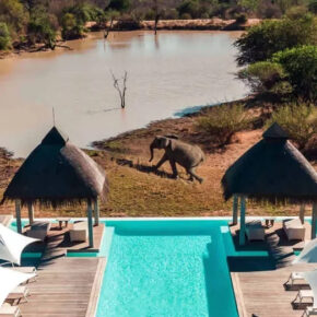 Safari-Traum Südafrika: 9 Tage in TOP 4* Hotel & TOP 5* Lodge inkl. Vollpension, Flug & Transfer nur 2742€