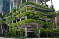 Nachhaltiges Singapur: Tourenguide mit Highlights & Tipps für die grünste Metropole Asiens