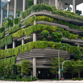 Nachhaltiges Singapur: Tourenguide mit Highlights & Tipps für die grünste Metropole Asiens