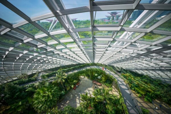 Cloud Forest Ausblick auf Marina Bay und Supertree Grove, größtes Gewächshaus der Welt