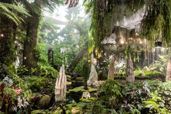 Singapur Cloud Forest Nebelwald im Gardens by the Bay, alle 2 Stunden wird das Gewächshaus wieder vollgenebelt