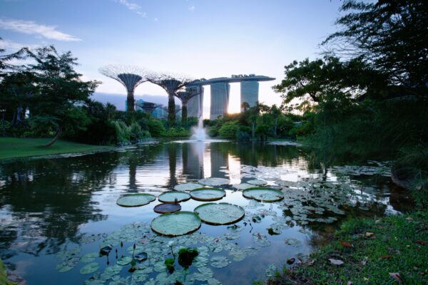 Singapur Gardens by the Bay Sonnenaufgang Blick auf den Supertree Grove und das Marina Bay Sands Hotel