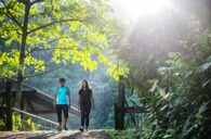 Slow Tourism in Singapur: Top 9 Outdooraktivitäten für Körper, Geist & Seele