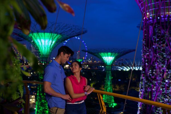 Singapur Gardens by the Bay Supertrees bei Nacht Lichtershow Garden Rhapsody Pärchen