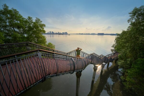 Singapur Sungei Buloh Wetland Reserve 