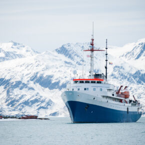 Antarktis Kreuzfahrt: Expedition durchs ewige Eis