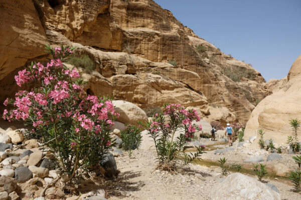 Biosphärenreservat Dana in Jordanien