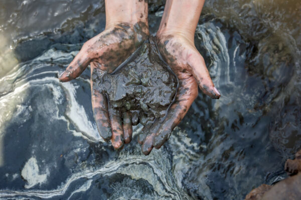 Hohe Konzentrationen an Mineralstoffen - der Schlamm des Toten Meeres