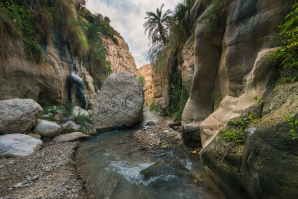 Wadi Bin Hammad in Jordanien
