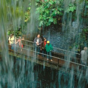 Schönster Zoo der Niederlande: 2 Tage in Arnheim inkl. Burger’s Zoo Eintritt, Premium Hotel & Frühstück nur 75€