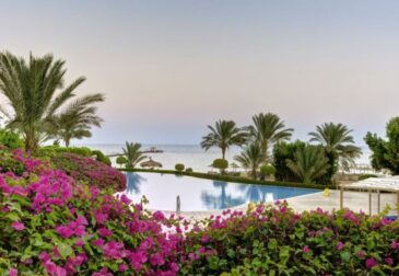 Luxus in Ägypten: 8 Tage im TOP 4* TUI MAGIC LIFE Kalawy inkl. All Inclusive, Flug & Tra...