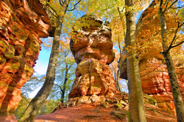 Altschlossfelsen,Rock,In,Dahn,Rockland,In,Autumn,,Germany