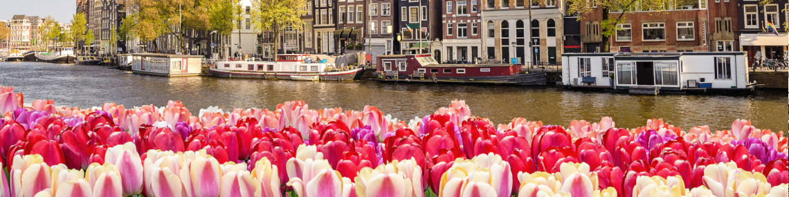 amsterdam gracht boote tulpen panorama