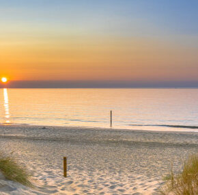 Last Minute ans Meer: Die 10 schönsten Strandhäuser in den Niederlanden bei Landal