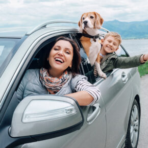 Secret Summer Deal im Bayerischen Wald für die ganze Familie: 4 Tage im geheimen...