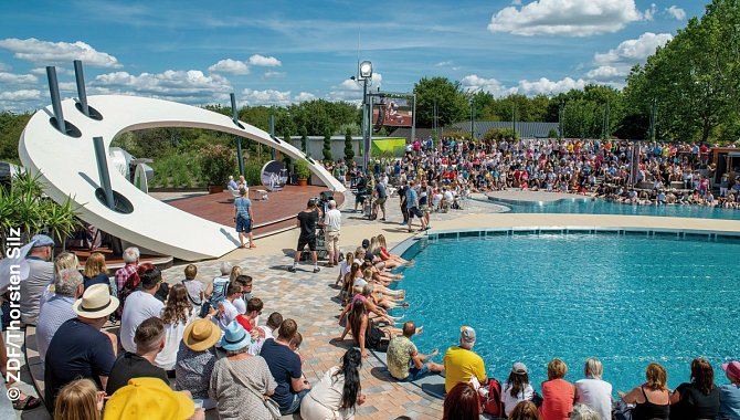 ZDF Fernsehgarten Pool