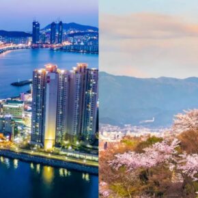 Südkorea & Japan: 16 Tage Rundreise in Eigenregie inkl. Unterkünften, Verpflegung, Transfers, Flug & Extras ab 4145€