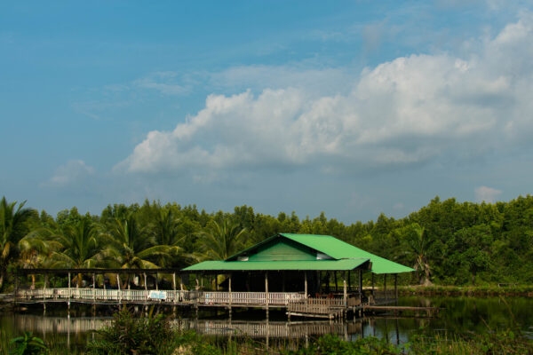 A Building Made From Wood With a Green Roof Built in Thailand