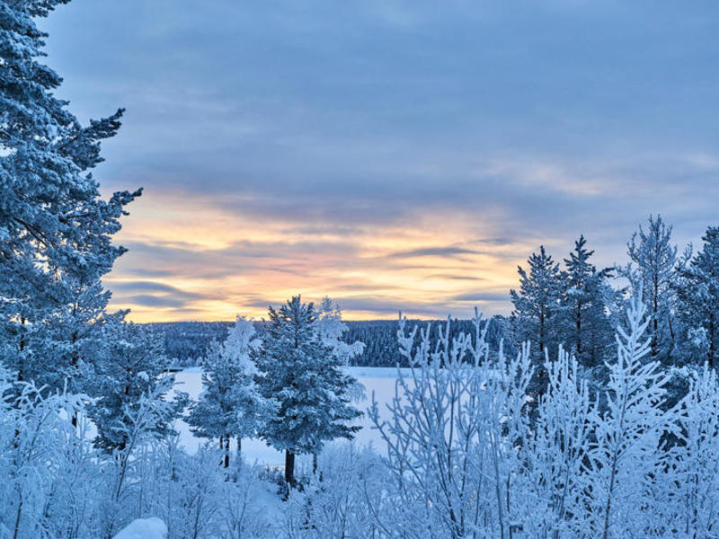 schweden-lappland-1011