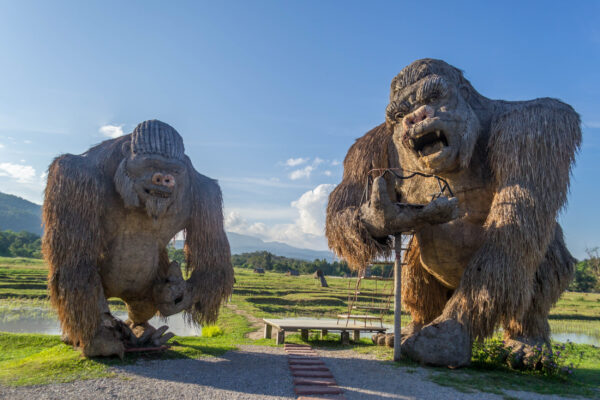 Thailand Chiang Mai Kingkong