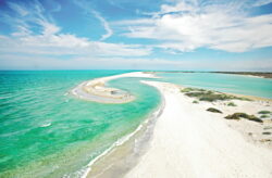 Roadtrip in Florida: 11 Tage durch den Sunshine State mit allen Hotels & einem Mietwagen...