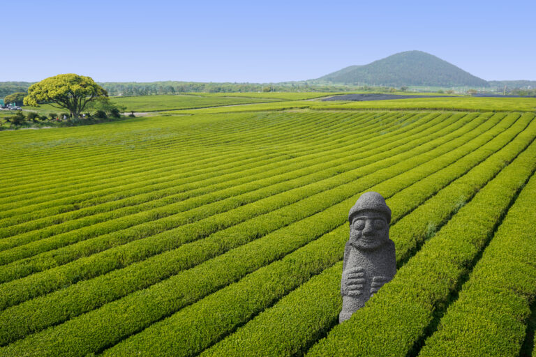 Insel Jeju: Die Trauminsel Südkoreas