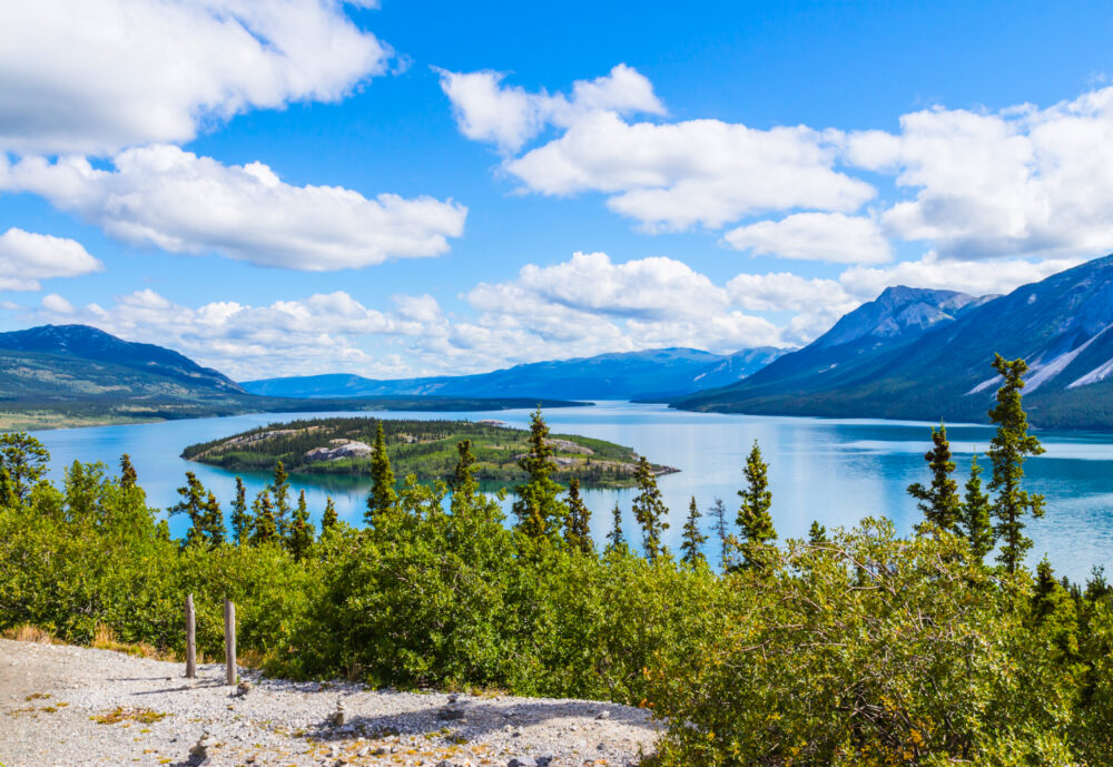Bove,Island,And,Tagish,Lake,In,Yukon,,Canada,In,Summer