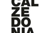 Calzedonia Gutschein: 20% Rabatt & Angebote | April 2024
