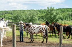 Urlaub auf einer Ranch in Kanada: Saskatchewan lädt Euch in die Welt der Cowboys ein!
