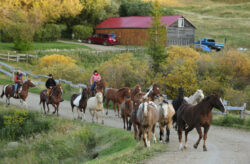 Kanada Rundreise: 15 Tage durch Saskatchewan mit Hotels, Mietwagen & Flügen ab 1177€