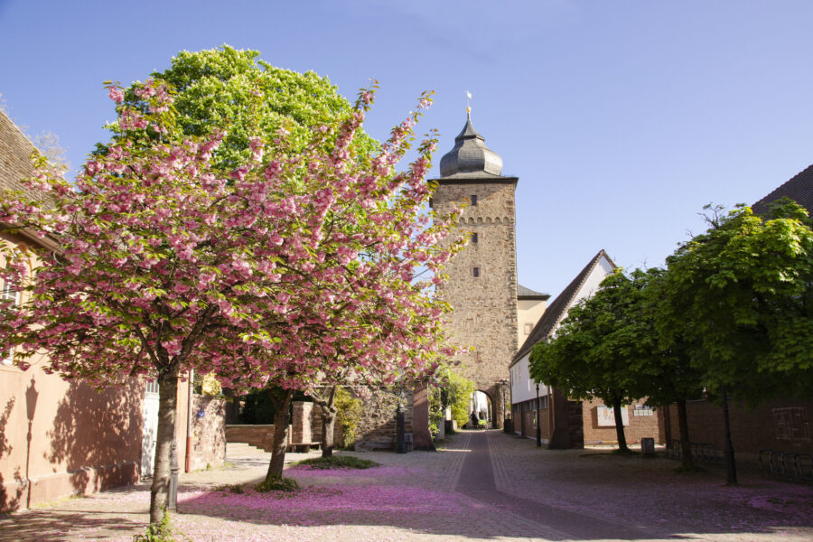 Sitemapcdatahttpswwwkedriinfobenzinpreise In Karlsruhenull