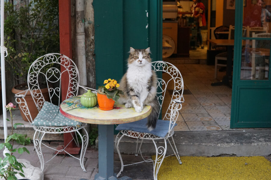 Food Hotspots am Bosporus: Hier müsst Ihr in Istanbul essen!