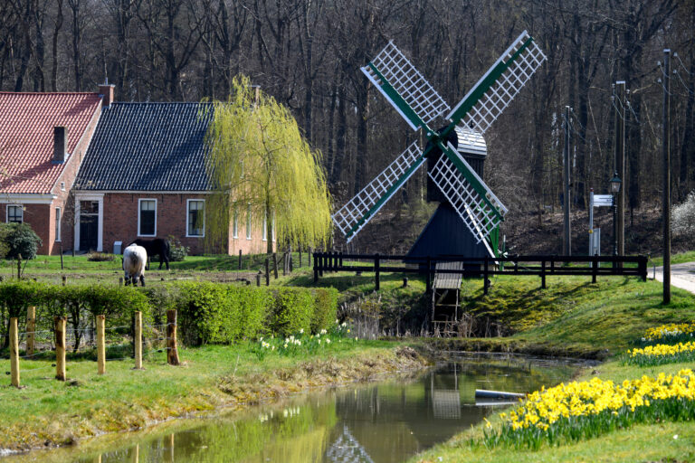 Holland mit Kindern: Die 5 besten Aktivitäten für Familien in „Das andere Holland“