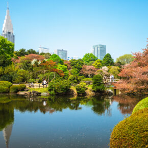 Tokio ruft: 15 Tage ins 3* Hotel inkl. Flug & Gepäck NUR 1189€