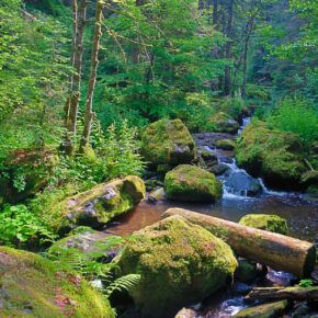 Zum größten Canyon Deutschlands: 3 Tage am Wochenende zur Wutachschlucht im 3* Wellnesshotel mit Frühstück ab 75€