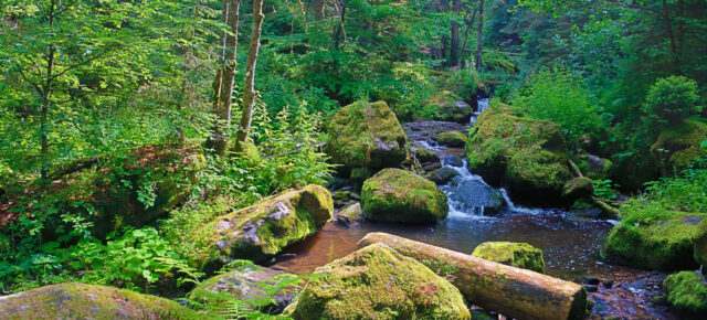 Zum größten Canyon Deutschlands: 3 Tage am Wochenende zur Wutachschlucht im 3* Wellnesshotel mit Frühstück ab 75€