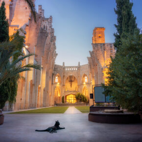 Mallorca Urlaub: 8 Tage ins 3* Hotel nur 223€