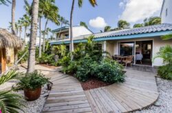 Traumstrände in der Karibik: 9 Tage im TOP 3.5* Hotel auf Aruba mit Flug und Transfer für 915...