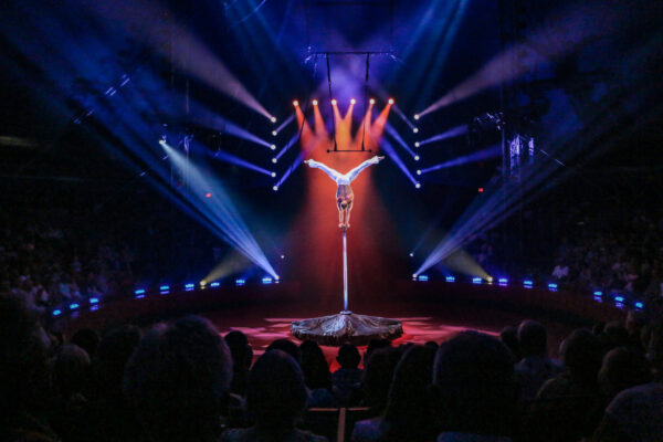 Sarasota Circus Sarasota