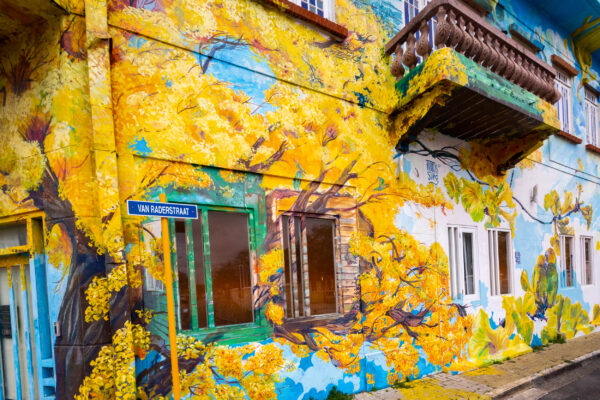 Curacao Street Art