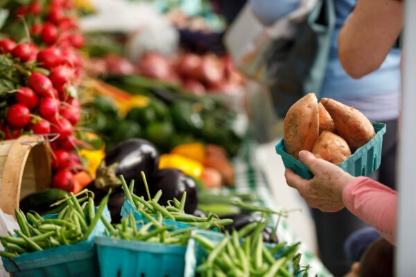 Fort Myers Farmers Market