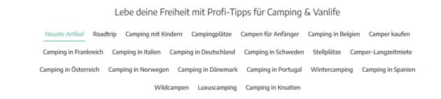 Roadsurfer Blog Artikel