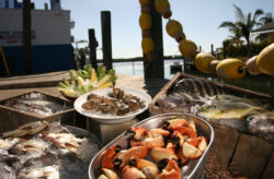 Gourmet-Seafood und günstig Essen in Florida : Die besten Restaurants auf den Bradenton Gulf ...