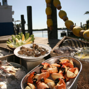 Stone Crab auf Bradenton