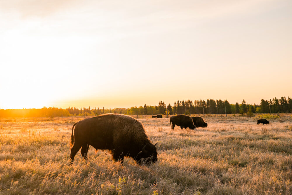 Denkzauber, Karin Schreiber/ Via Marketing Sabrina Karavla