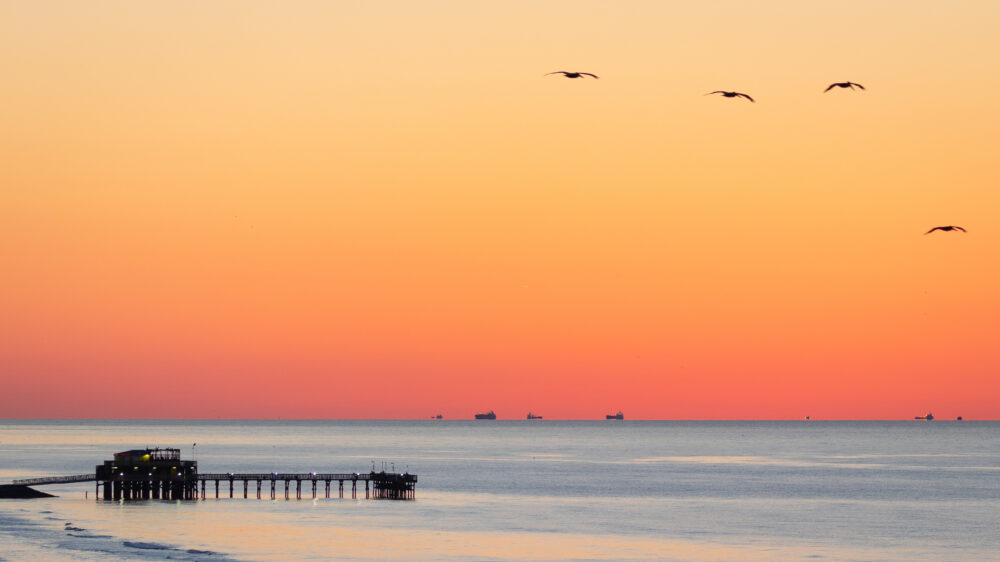 Texas Galveston Island