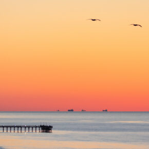 Texas-Feeling erleben: Hin- & Rückflüge nach Houston oder Dallas ab 559€